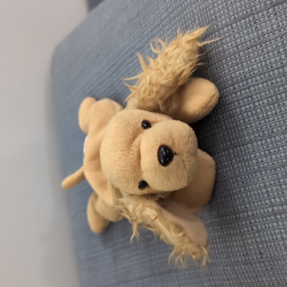 Spunky ty beanie baby